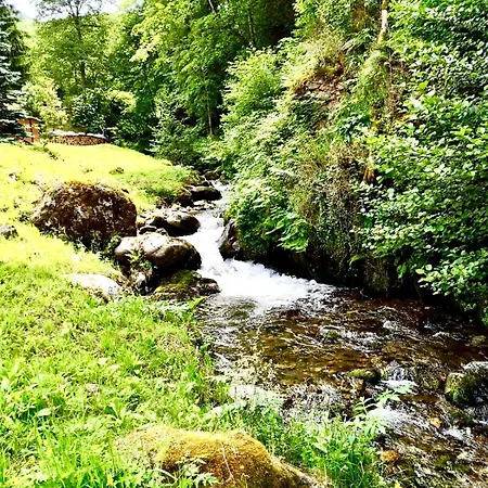 Chateau Des Corniches Riviere Privee Et Fraicheur Estivale 別荘 Cazenave-Serre-et-Allens