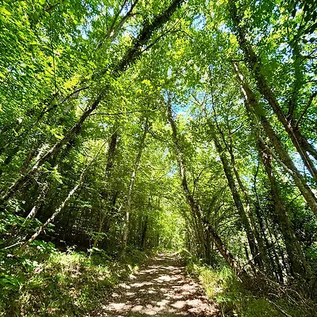 Chateau Des Corniches Riviere Privee, Vue Panoramique Et Escapade De Reve Tatil Evi