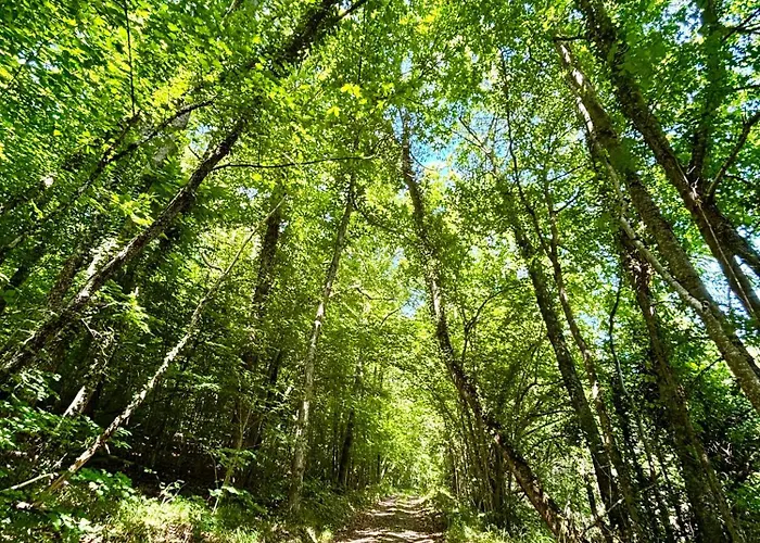Chateau Des Corniches Riviere Privee, Vue Panoramique Et Escapade De Reve 別荘